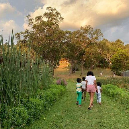 Iluka Retreat Glamping Village Red Hill South Kültér fotó