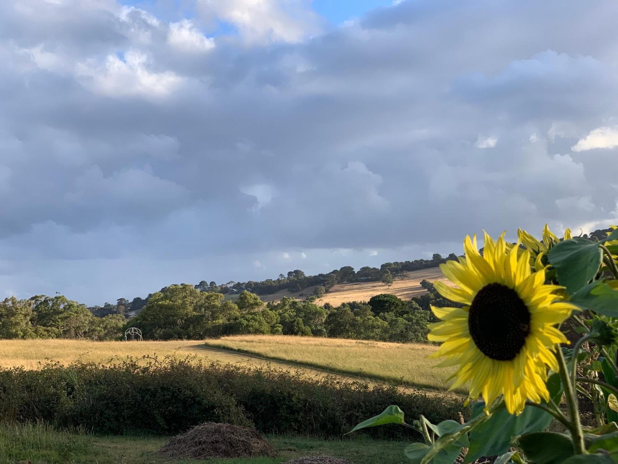 Iluka Retreat Glamping Village Red Hill South Kültér fotó