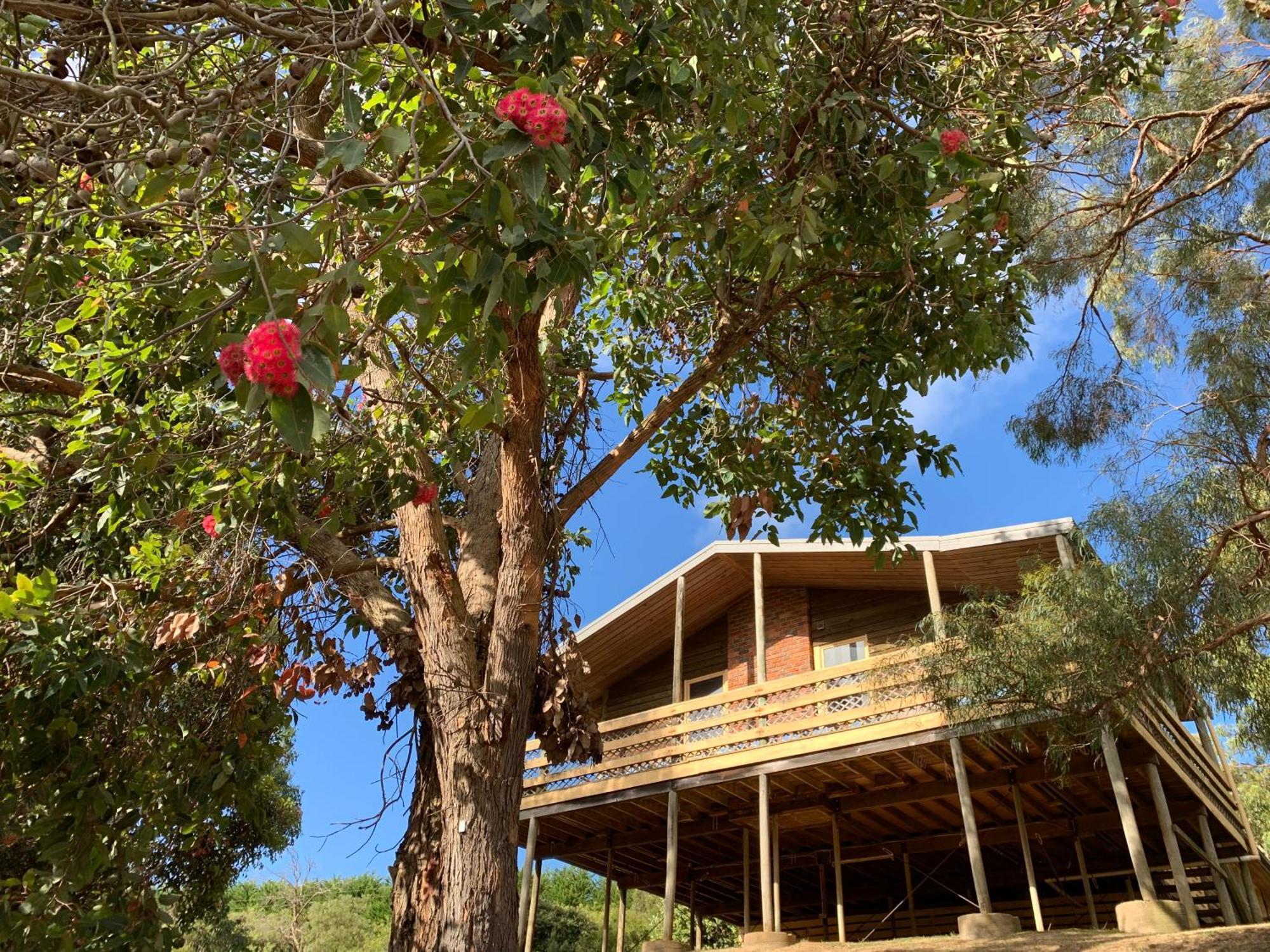 Iluka Retreat Glamping Village Red Hill South Kültér fotó